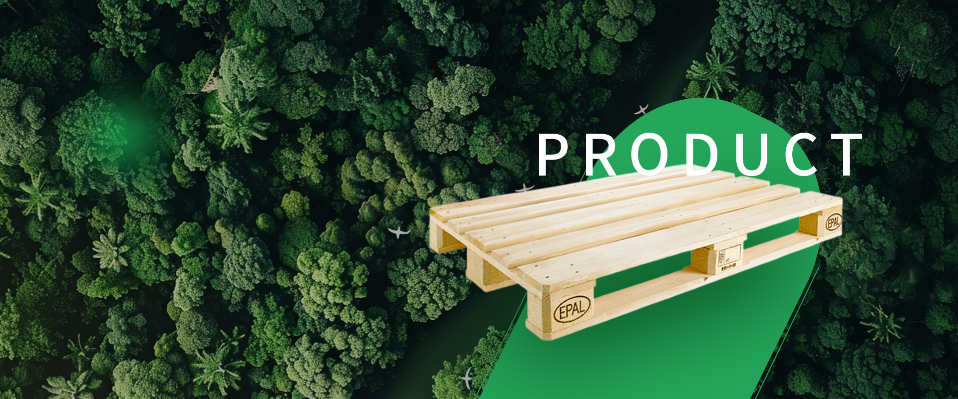 Mundo de Productos